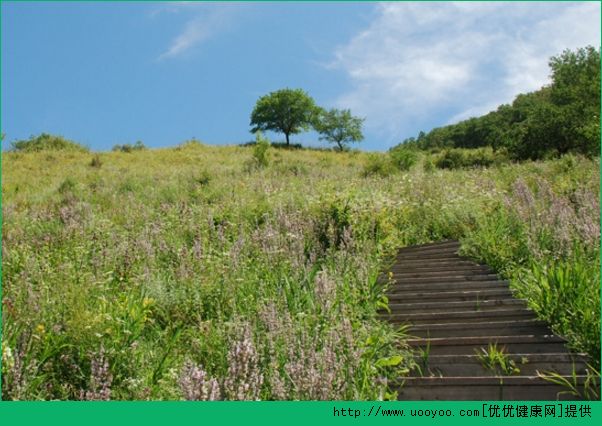 心情極度低落怎麼辦？心情極度低落的處理方法(2)