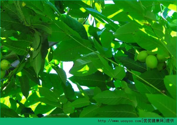 心情極度低落怎麼辦？心情極度低落的處理方法(3)