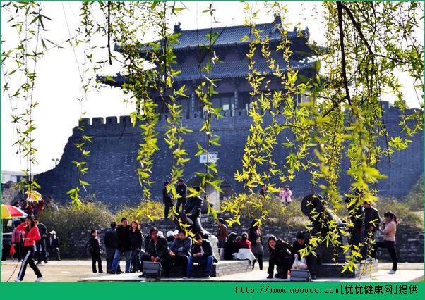 春季去哪裡旅遊比較好？春季旅遊勝地有哪些？(2)