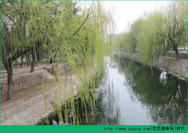 清明節回傢好嗎？清明節能走親戚嗎？(2)