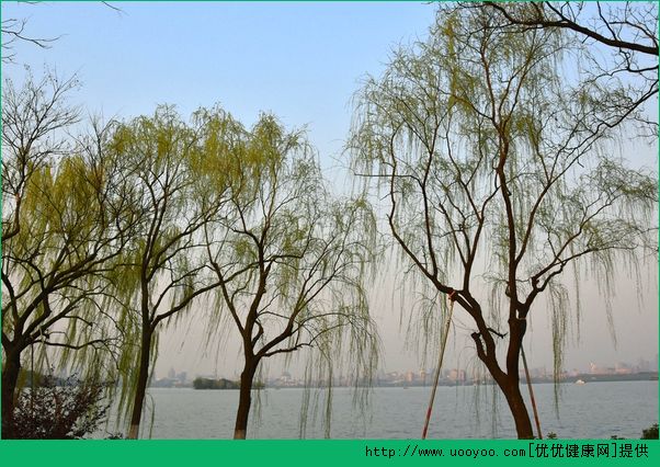 清明節回傢好嗎？清明節能走親戚嗎？(4)