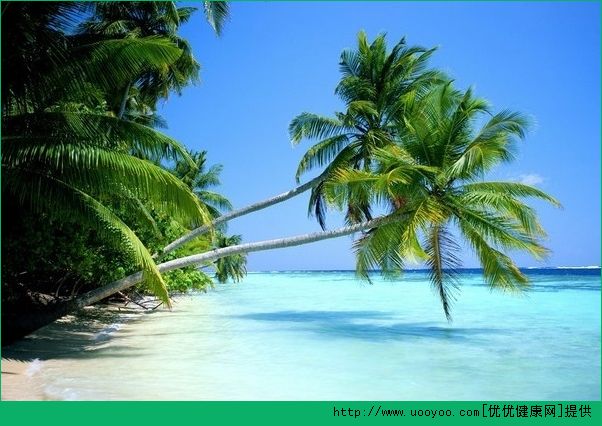 畢業旅行去哪兒？畢業旅行的最佳去處(3)