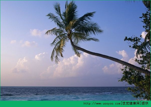 畢業旅行適合去哪裡？大學畢業旅行推薦(3)