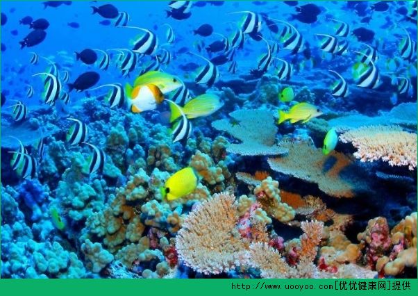 夏天去哪旅遊最好？夏天去哪個國傢旅遊好？(3)