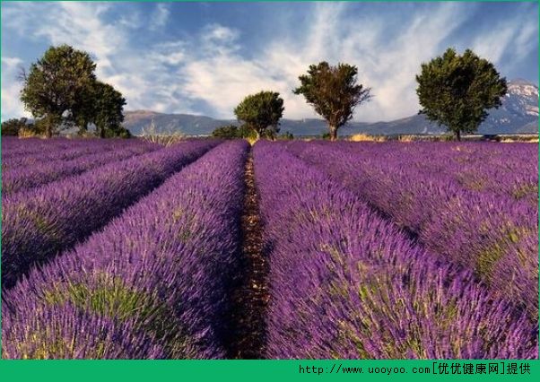 夏天去哪旅遊最好？夏天去哪個國傢旅遊好？(4)