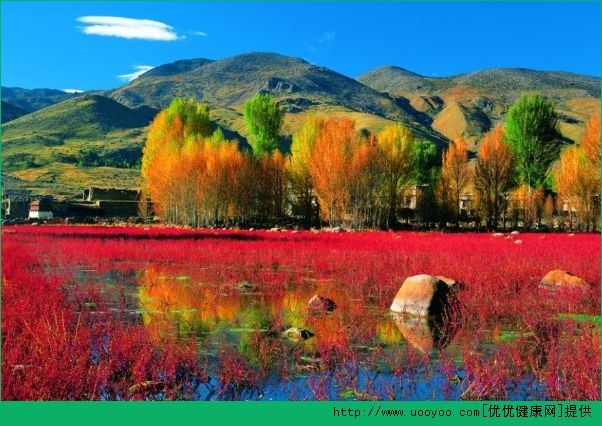 夏天可以去哪裡玩？夏天可以去哪裡旅遊？(3)