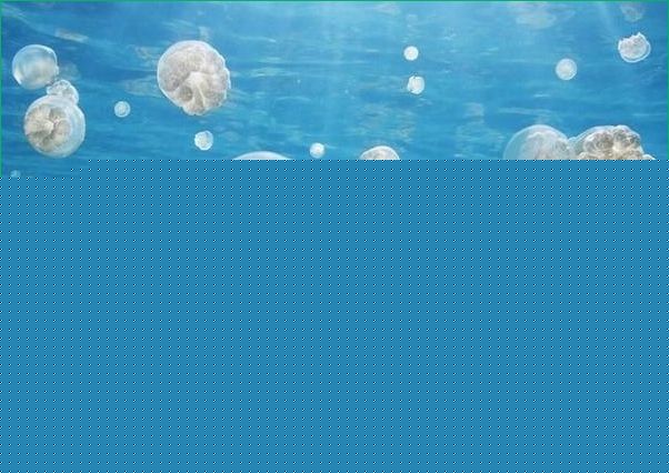 適合夏天去玩的地方？適合夏天去的海島？(3)