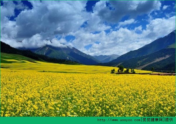 夏季旅遊去哪兒？七月旅遊最佳地點(4)