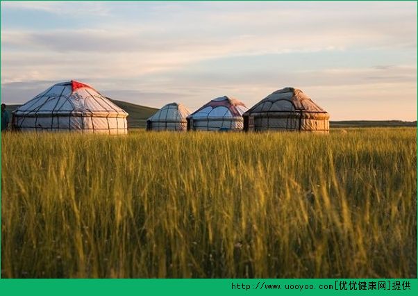 適合夏季出遊的地方？夏季旅行好去處(3)