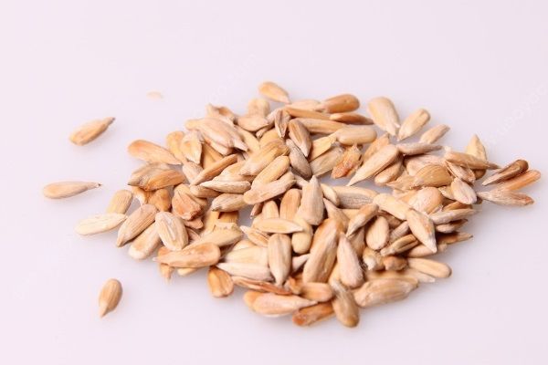 夏季出遊帶什麼？夏天出遊帶什麼吃的？(4)