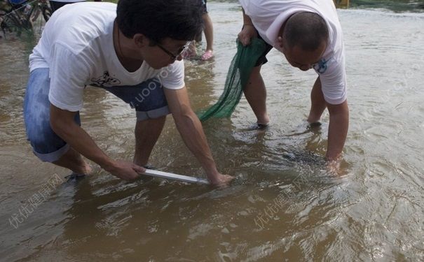 發洪水怎麼抓魚？發洪水時的抓魚方法(2)