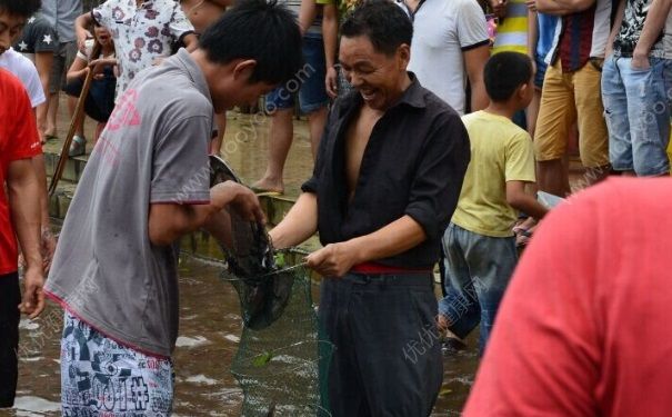 發洪水怎麼抓魚？發洪水時的抓魚方法(3)