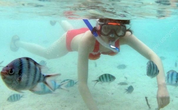 浮潛需要什麼裝備？浮潛需要穿潛水服嗎？(3)