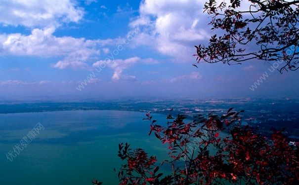 夏天可以去哪裡旅遊？夏天去哪裡旅遊最涼爽？(2)