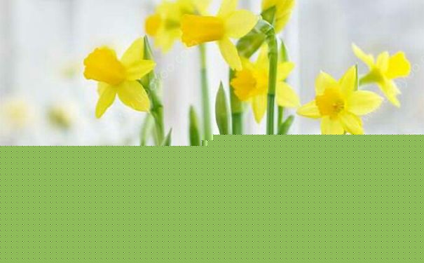 粉底液含鉛嗎？粉底液是否含鉛？(2)