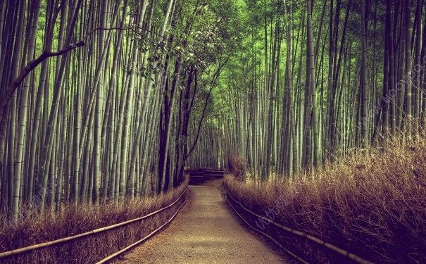 內向怎麼變外向？內向的人怎麼變外向？(2)