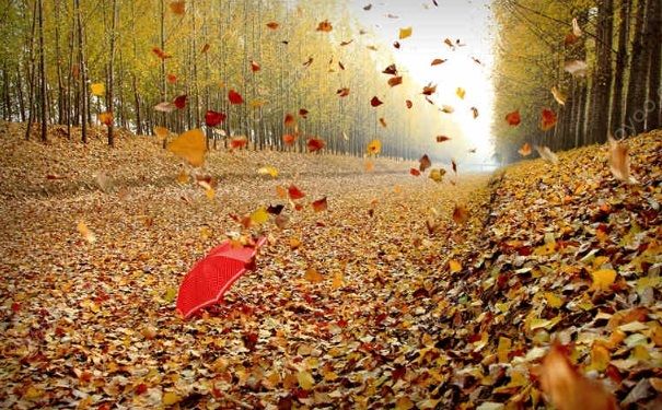 內向不會說話怎麼辦？內向不愛說話怎麼改變自己？(3)