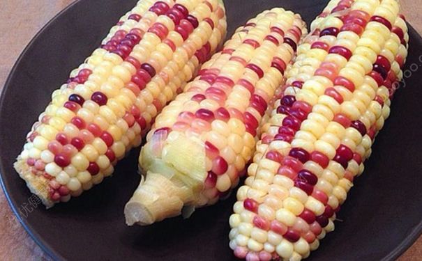 吃什麼食物可以補充膠原蛋白？擁有美白肌膚(2)