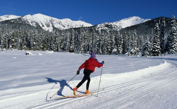 冬季為什麼會長胖?冬季長胖是為什麼?(2)