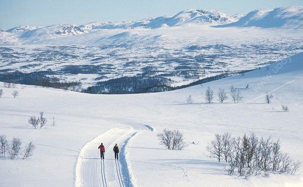 冬季為什麼會長胖?冬季長胖是為什麼?(3)