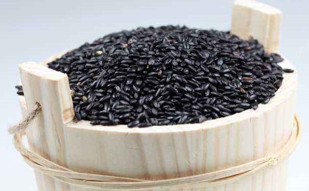 米飯中加什麼食物減肥？日常吃什麼食物可以減肥？(2)