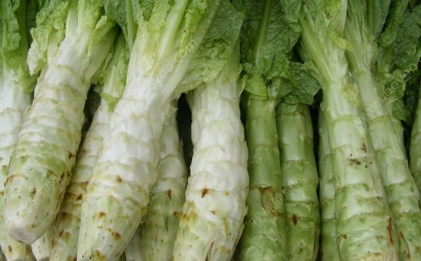 食用萵筍應該註意哪些問題？怎樣挑選出優質的萵筍？(2)