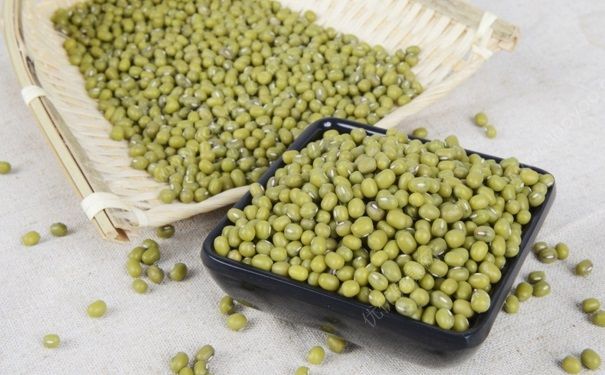 冬天吃綠豆健康嗎？冬天吃綠豆好不好？(3)