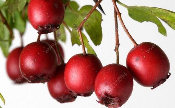 冬天吃水果有何好處？冬天吃水果有哪些功效？(2)