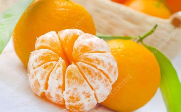 黃瓜不能與什麼一起吃？哪些食物不能與黃瓜一起吃？(3)