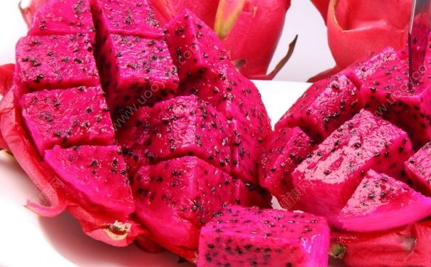 冬天可以吃火龍果嗎？冬天吃火龍果很冰怎麼辦？(2)