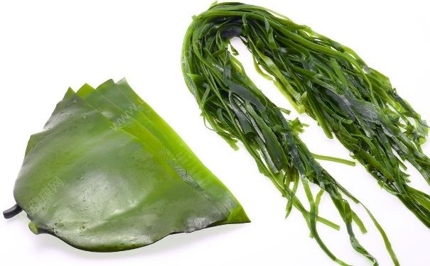 海帶具有怎樣的營養價值?怎樣挑選更優質的海帶?(3)